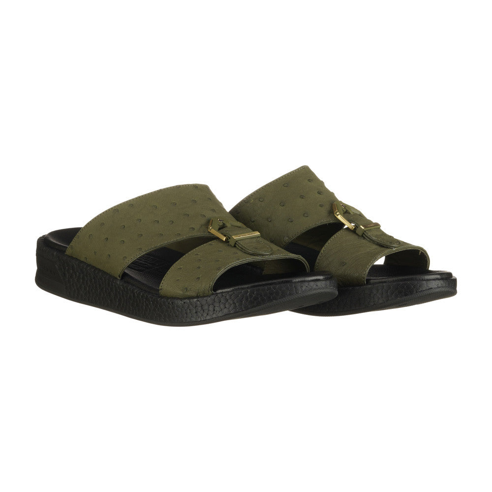 OLIVE (086)