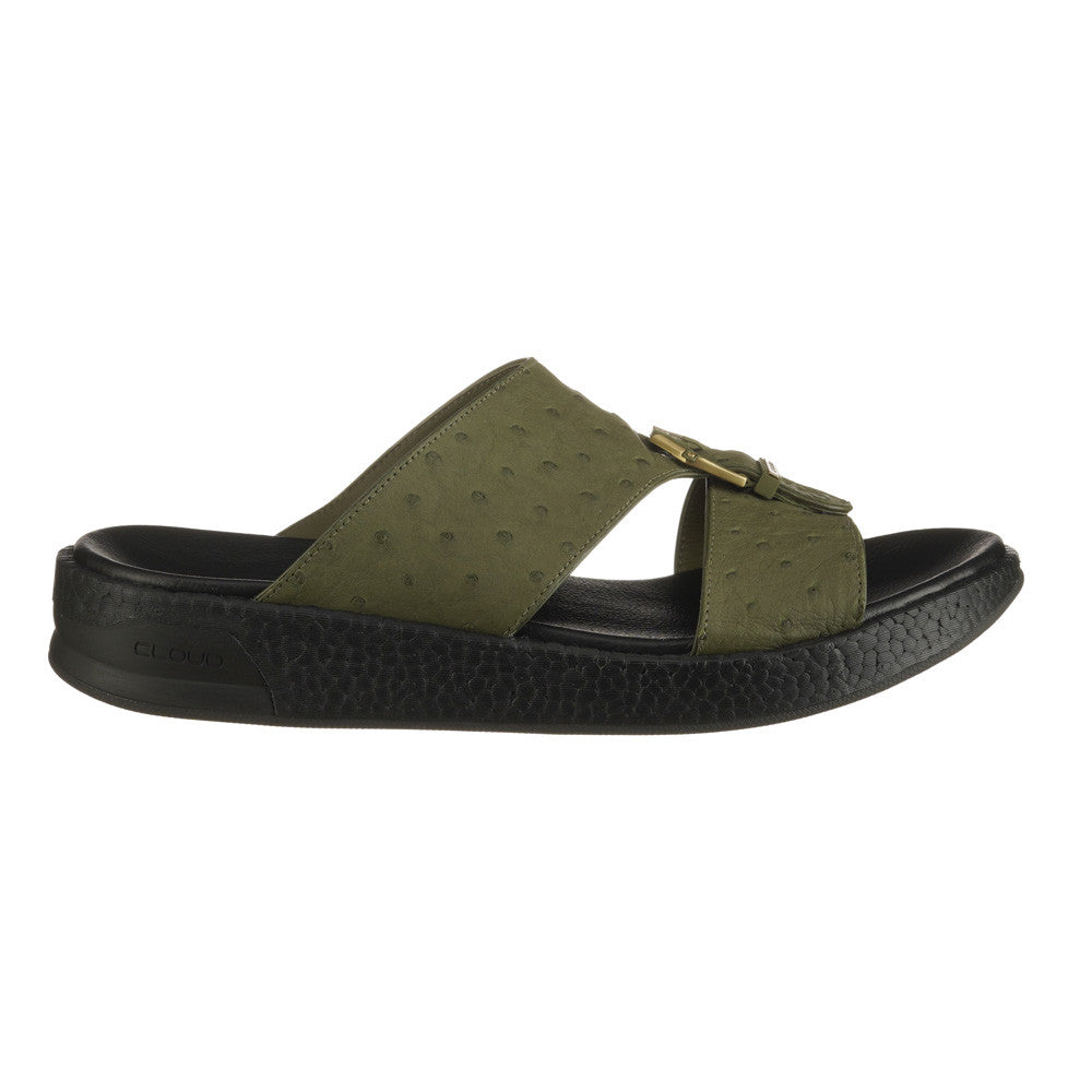 OLIVE (086)