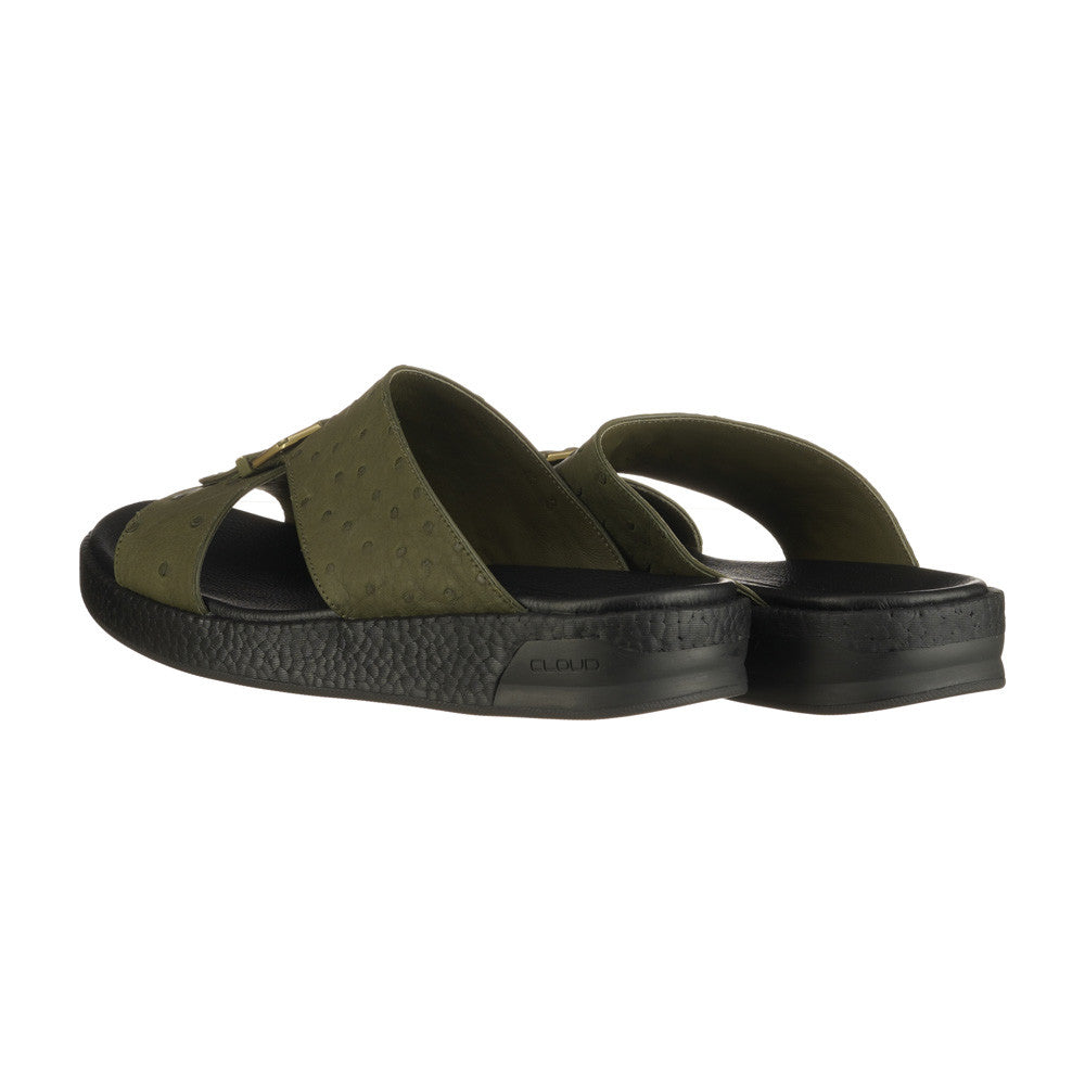 OLIVE (086)