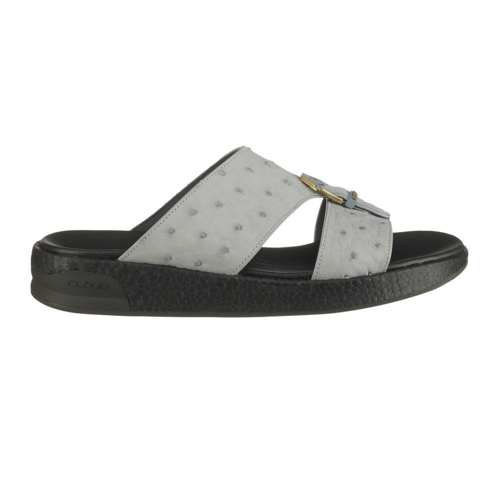 OLIVE (150)