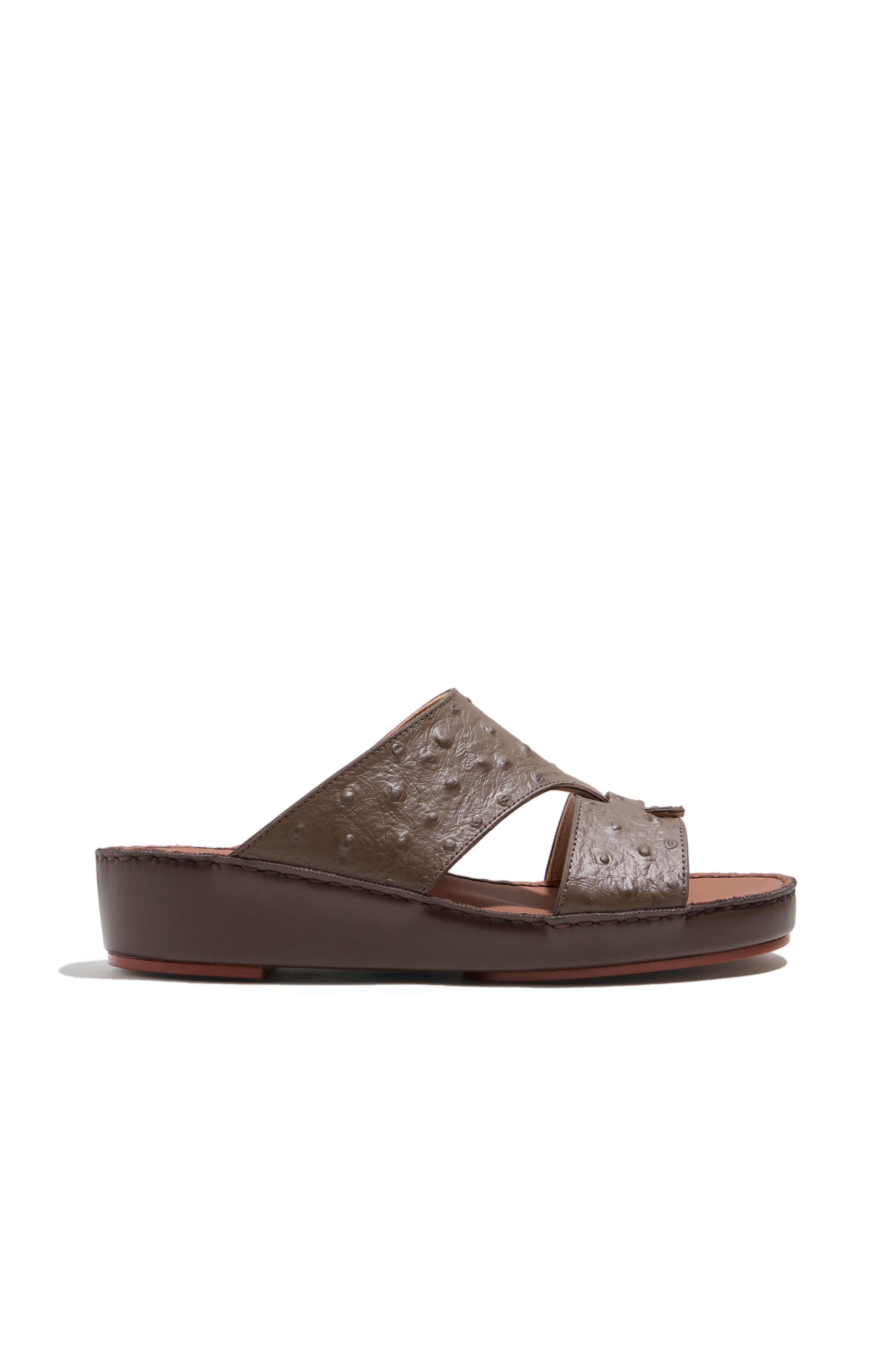 BROWN (182)