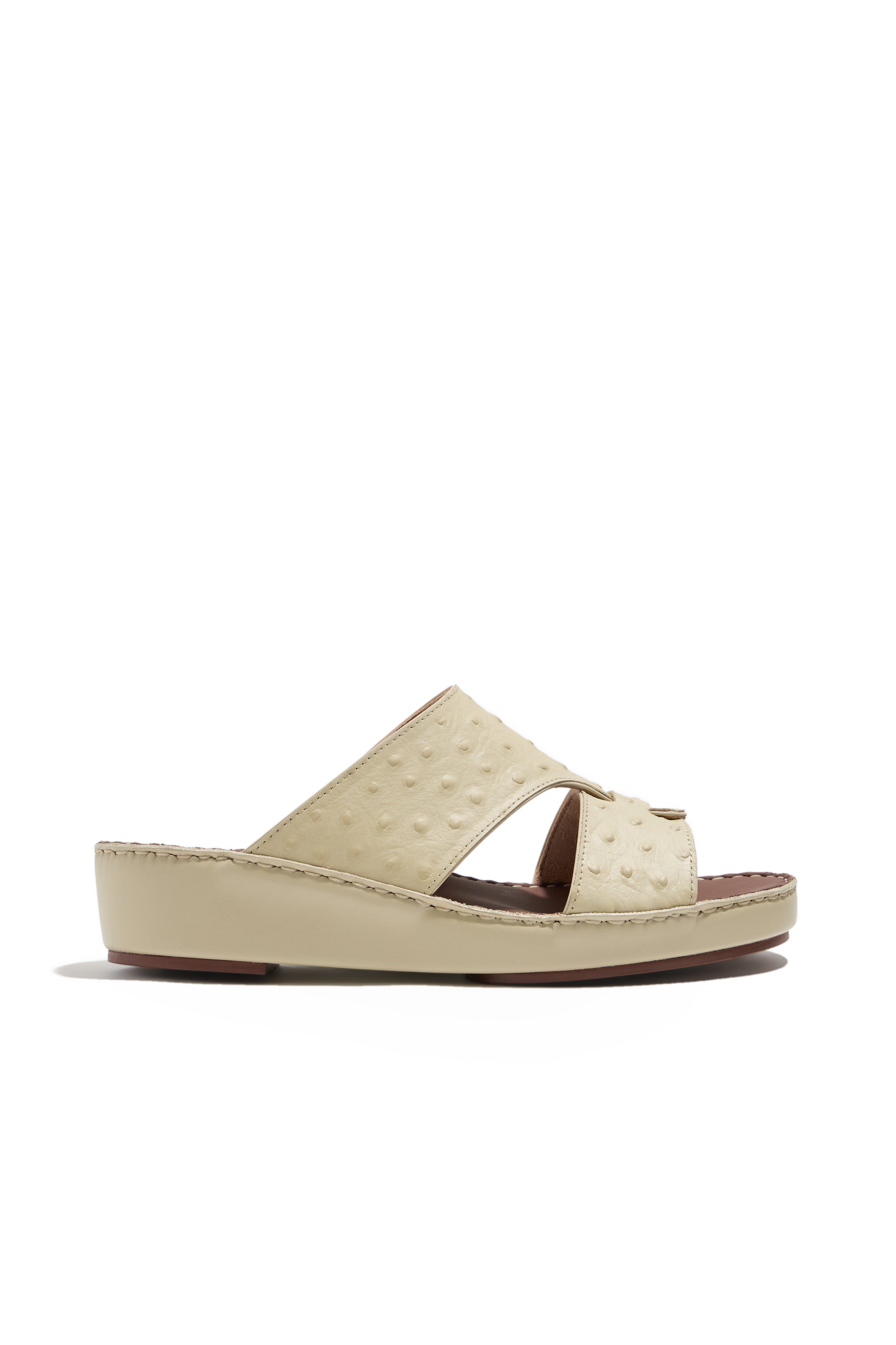 BROWN (512)