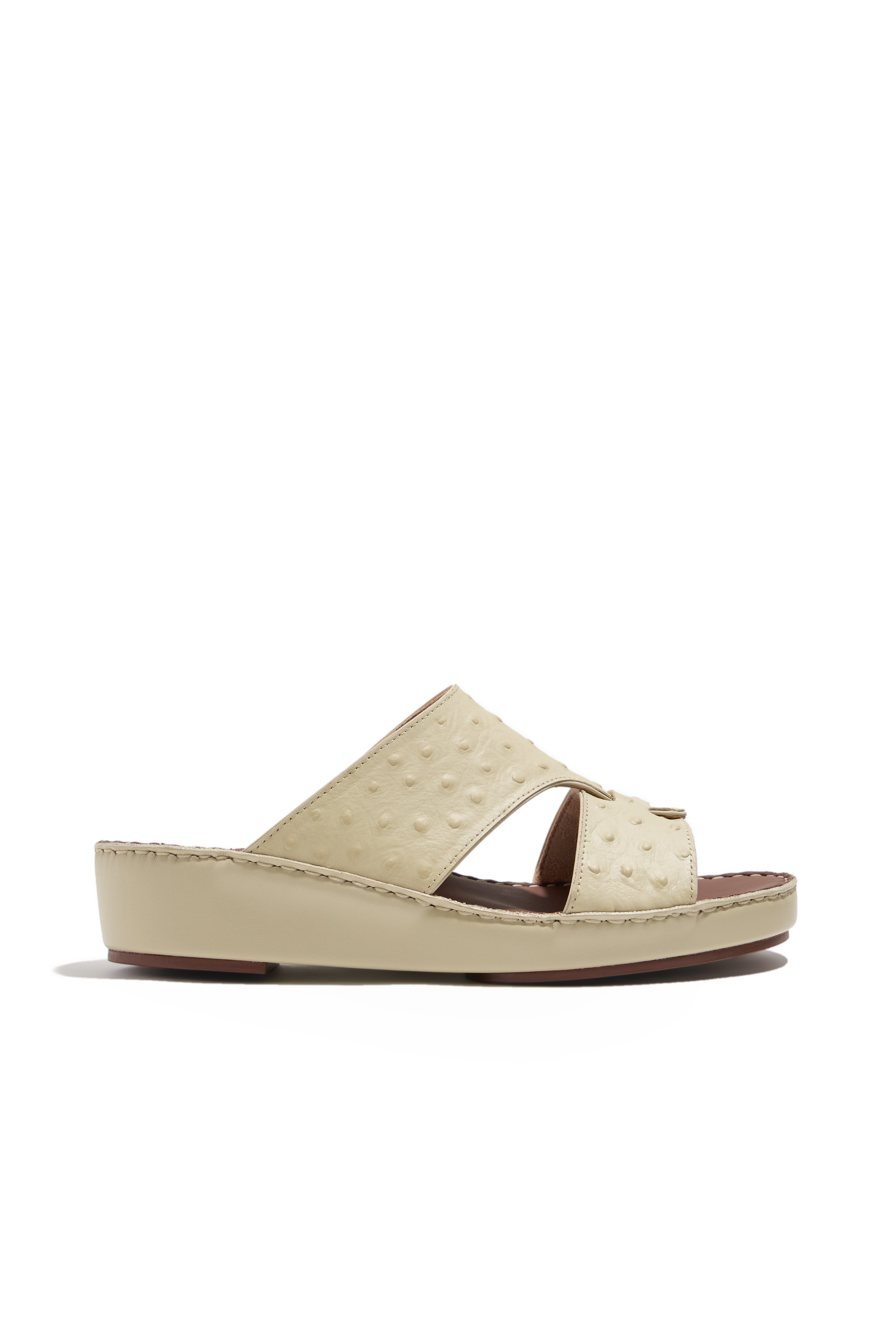 BROWN (512)