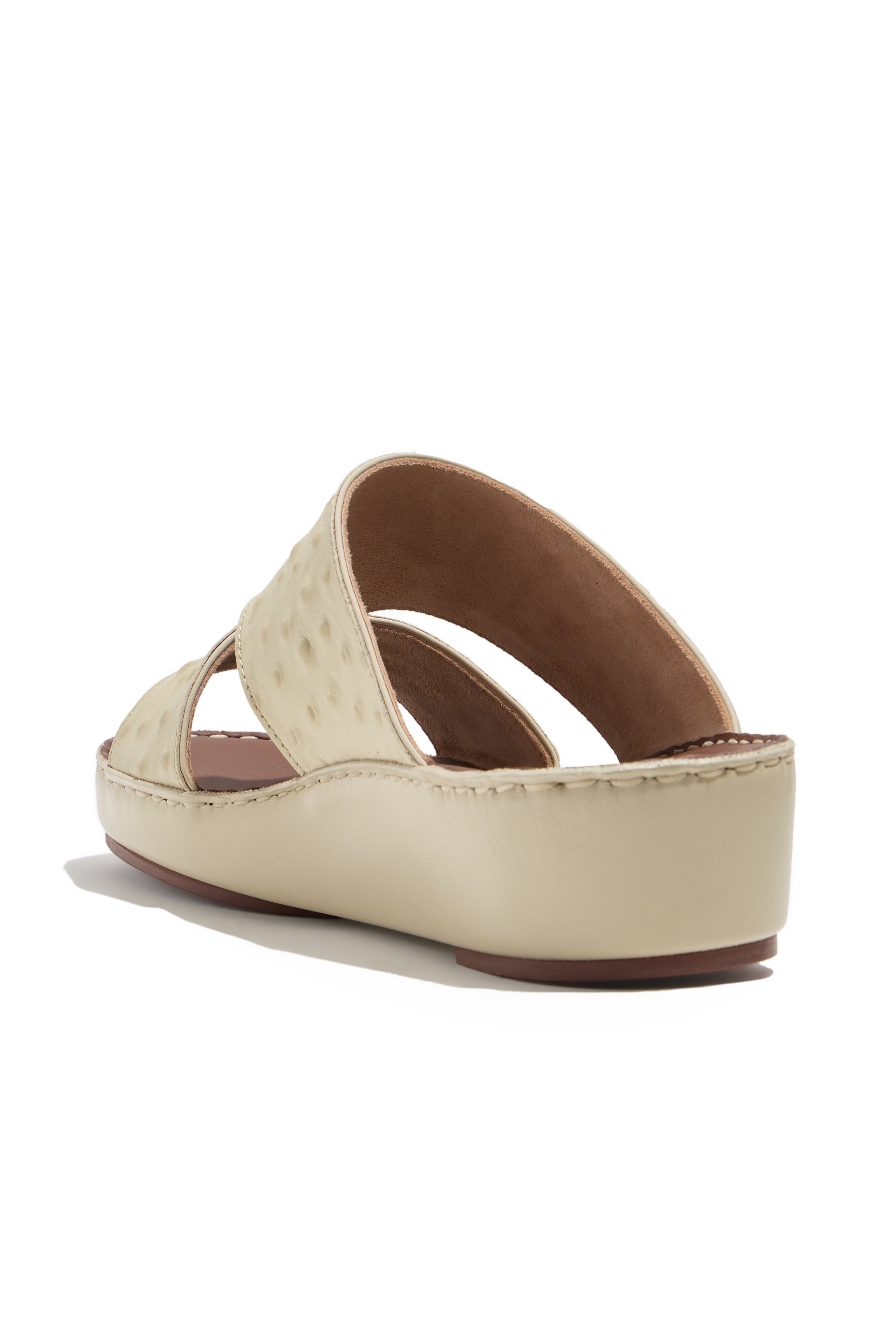 BROWN (512)