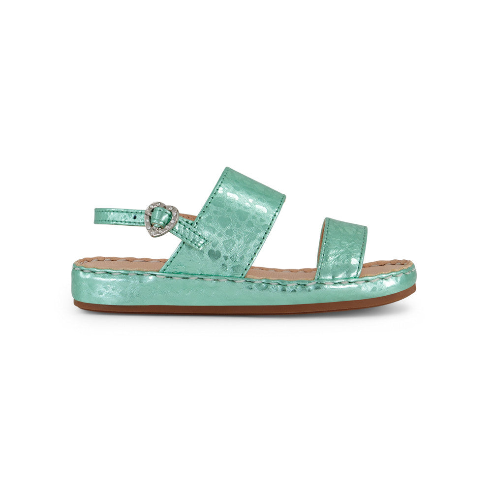 OLIVE (086)