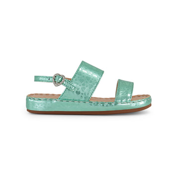 OLIVE (086)