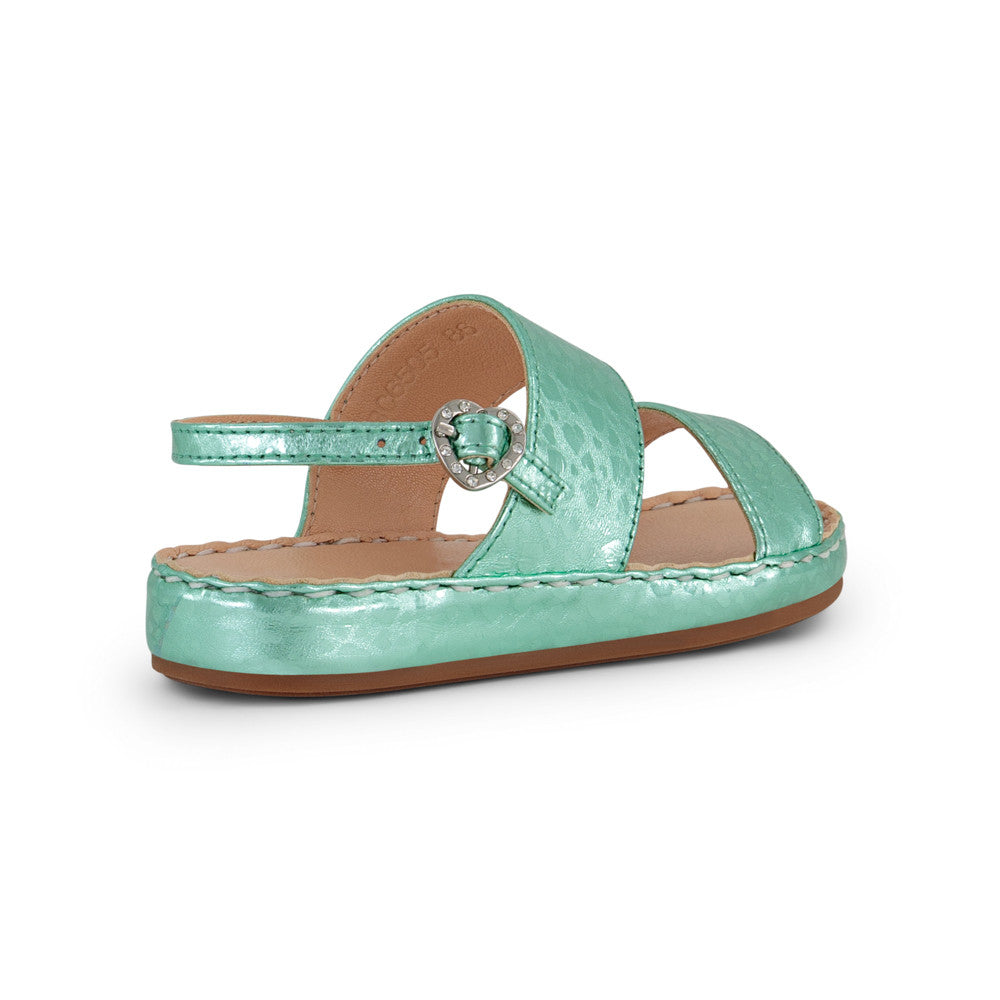 OLIVE (086)