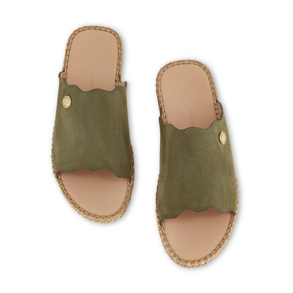 OLIVE
