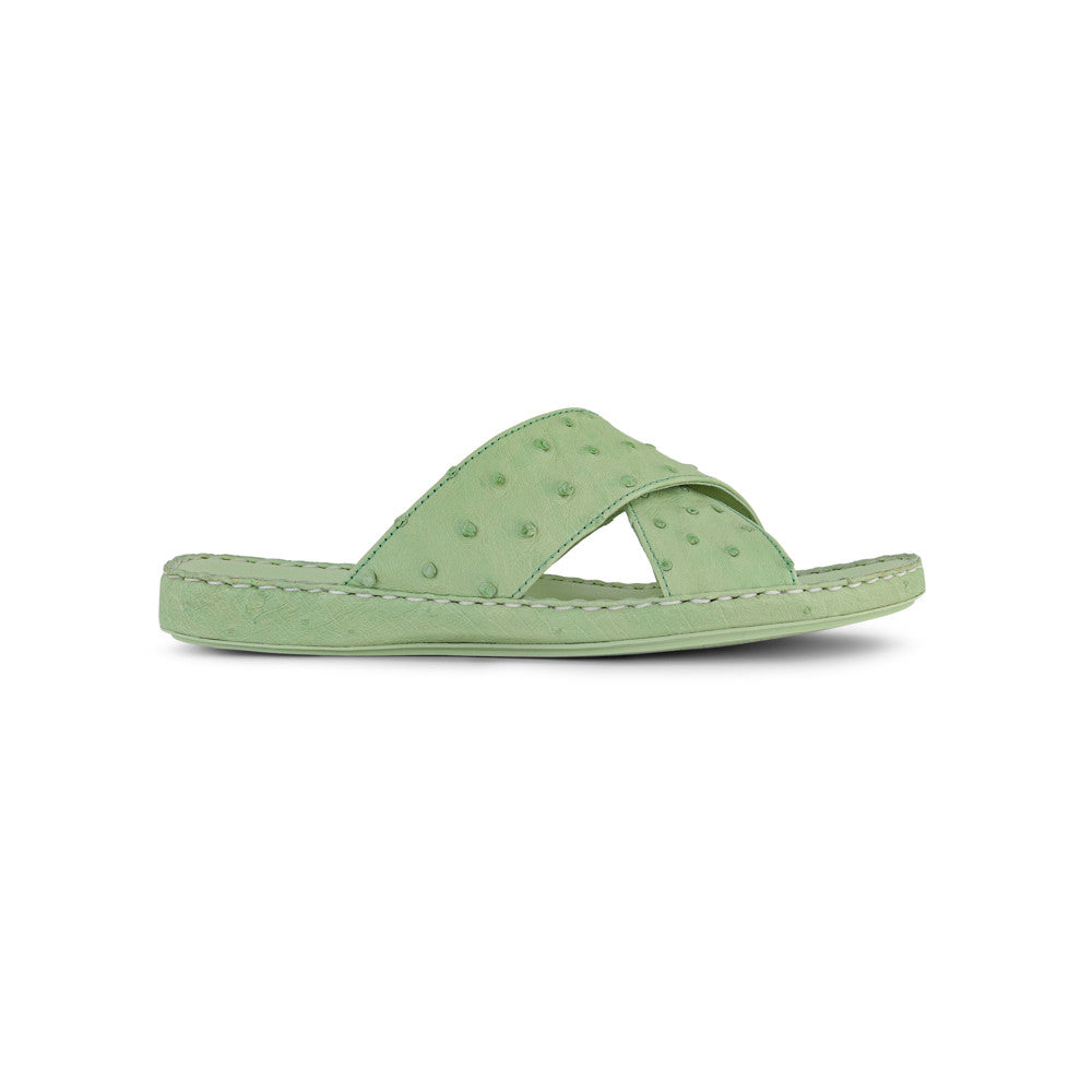 OLIVE (086)
