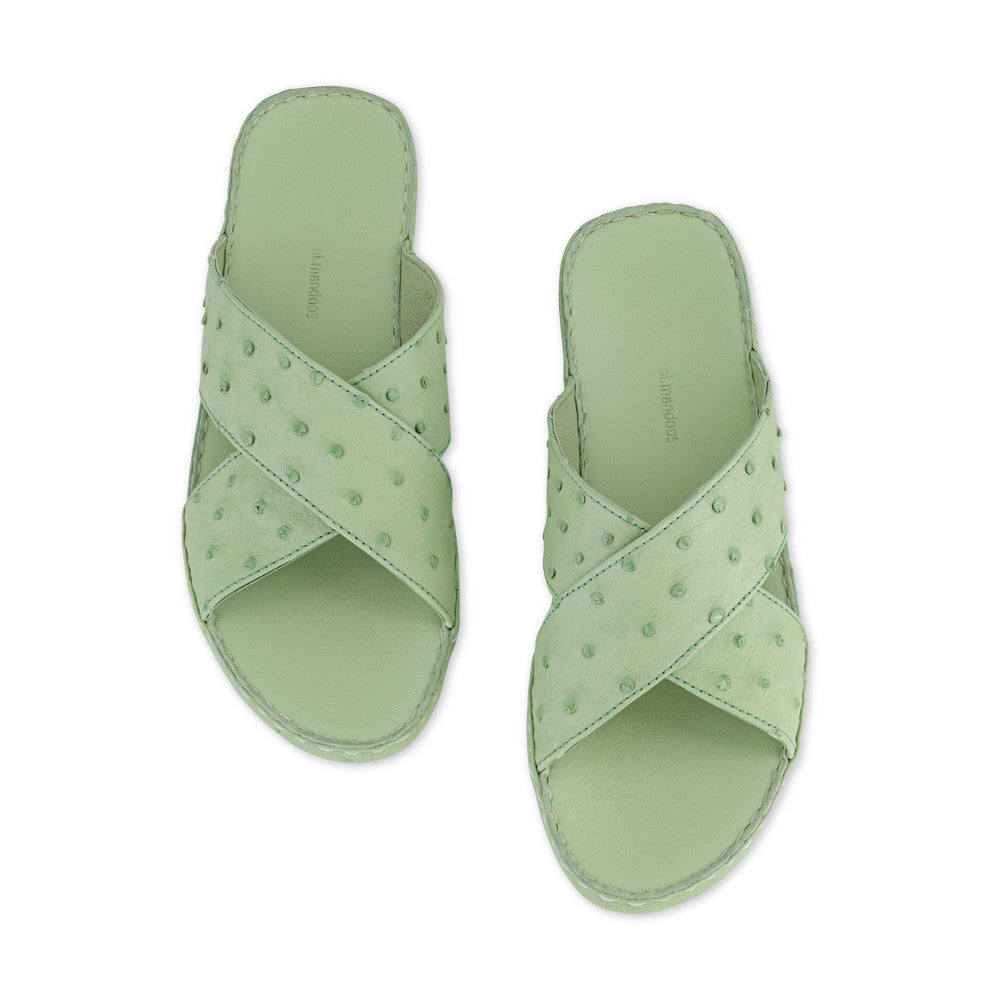 OLIVE (086)