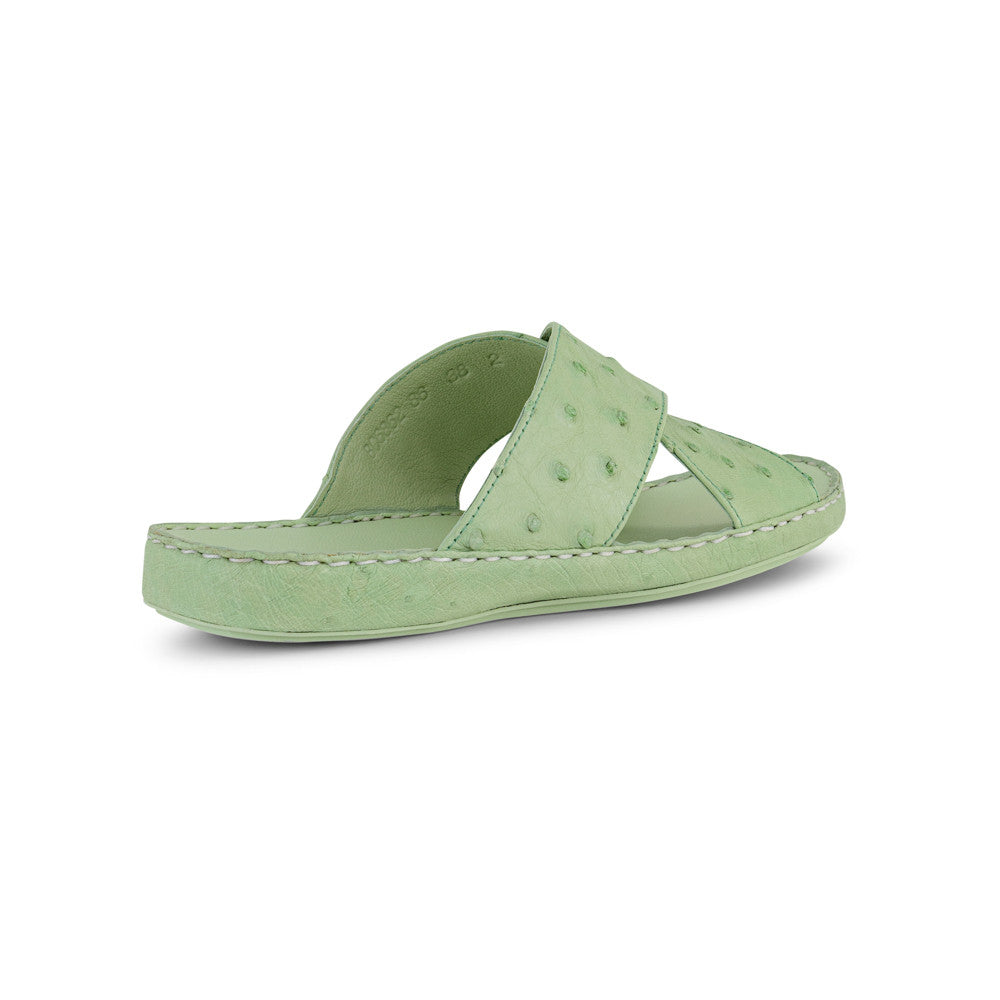 OLIVE (086)